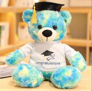 Graduation Teddy Bear