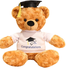 Graduation Teddy Bear