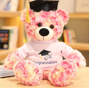 Graduation Teddy Bear