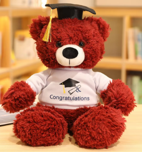 Graduation Teddy Bear